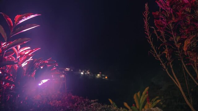 Day to night time lapse during sunset in the stunning nature of Guatemala - Plants, lights and clouds