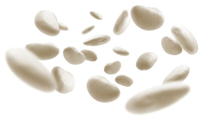 White beans levitate on a white background