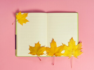Bright autumn maple leaves with blank notebook on pink paper background. Seasonal fall composition, thanksgiving day concept. Creative flatlay, top view, copy space