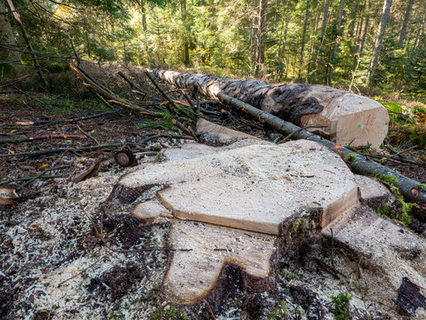 Tassenbach Bilder Durchsuchen 1,160 Archivfotos, und