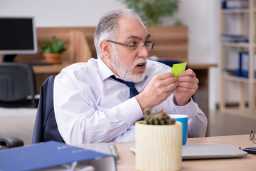 Old male employee working in the office