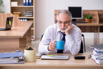 Old male employee working in the office