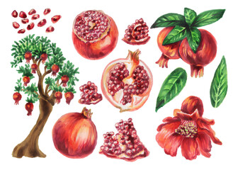 Beautiful watercolor set with fruits, tree, flowers of pomegranate isolated on a white background. Botanical watercolor illustration of a pomegranate.Christmas fruits.Plants of the new year in Greece.