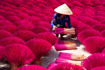 Vietnam incense sticks are drying under sunlight, with Vietnamese woman in connical hat working...
