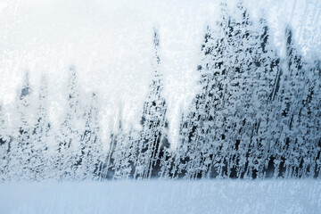 View of coniferous forest trees through a winter frozen window.