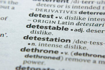 Word or phrase Detestable in a dictionary.