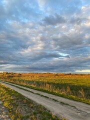 road in the field