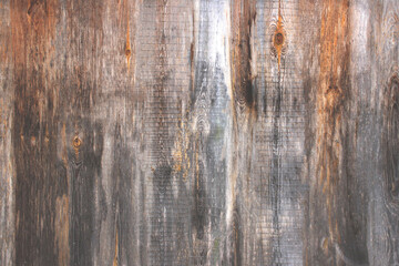 Obraz premium Brown wooden texture background. Old wooden fence. Abstract natural backdrop.