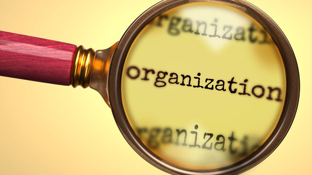 Examine and study organization, showed as a magnify glass and word organization to symbolize process of analyzing, exploring, learning and taking a closer look at organization, 3d illustration