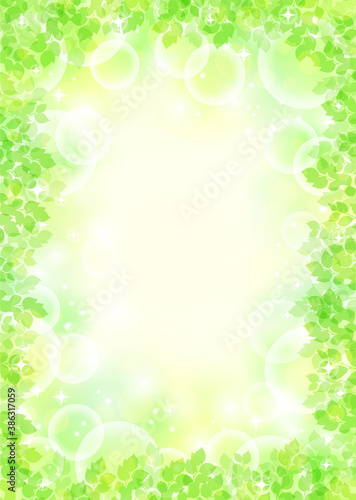 キラキラ背景画像素材 新緑と木漏れ日の背景 緑 縦位置 Background Wall Mural Backgrou Kinusara