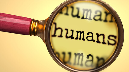 Examine and study humans, showed as a magnify glass and word humans to symbolize process of analyzing, exploring, learning and taking a closer look at humans, 3d illustration