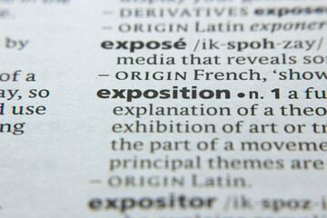 Word or phrase Exposition in a dictionary.