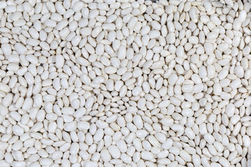 Background of the white kidney beans scattered evenly
