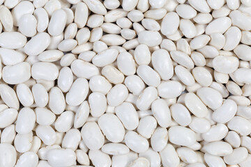 Large white kidney beans scattered evenly close-up, background