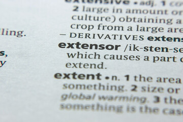 Word or phrase Extensor in a dictionary.