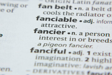 Word or phrase Fancier in a dictionary.