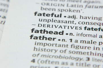 Word or phrase Fathead in a dictionary.