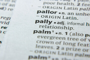 Word or phrase Pally in a dictionary.