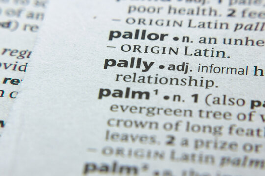 Word or phrase Pally in a dictionary.