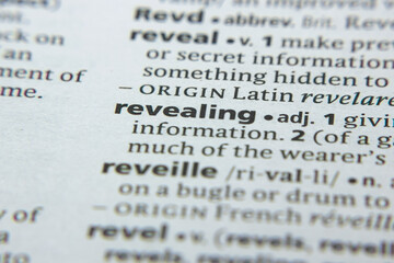 Word or phrase Revealing in a dictionary.