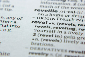 Word or phrase Revel in a dictionary.