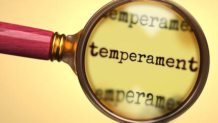 Examine and study temperament, showed as a magnify glass and word temperament to symbolize process of analyzing, exploring, learning and taking a closer look at temperament, 3d illustration