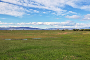 Fototapeta premium Lago argentino in El Calafate, Patagonia, Argentina