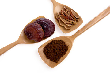 Lingzhi mushroom sliced and powder isolated on a white background.