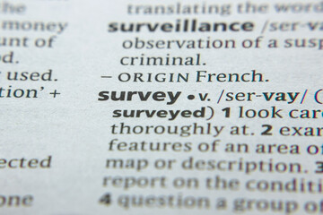 Word or phrase Survey in a dictionary.