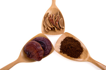 Lingzhi mushroom sliced and powder isolated on a white background.
