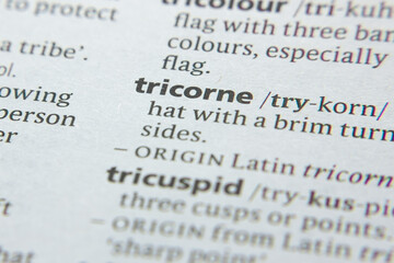 Word or phrase Tricorne in a dictionary.