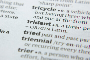 Word or phrase Trident in a dictionary.