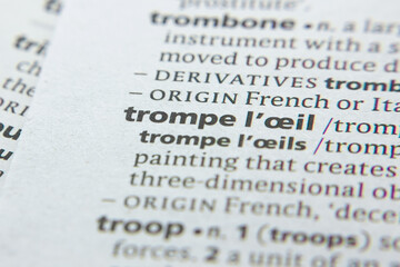 Word or phrase Trompe L'ceil in a dictionary.