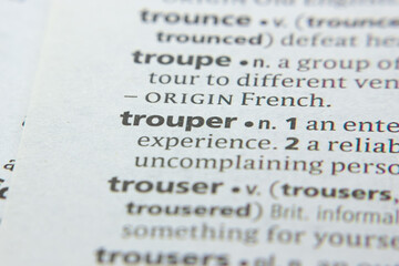 Word or phrase Trouper in a dictionary.