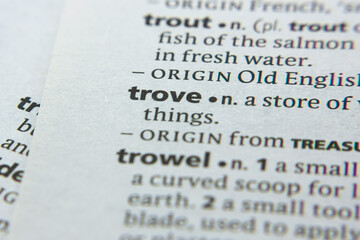 Word or phrase Trove in a dictionary.