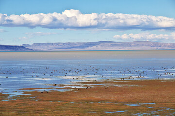 Lago argentino in El Calafate, Patagonia, Argentina