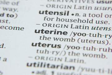 Obraz premium Word or phrase Uterine in a dictionary.