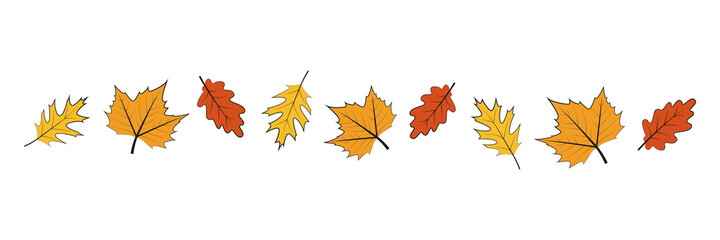 set of autumn leaves outline on white background vector illustration EPS10