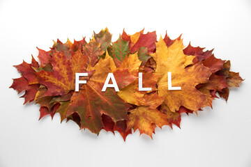 Heap pile of beautiful colored autumn maple leaves isolated on white background. Autumn, fall, thanksgiving day, nature concept. Flat lay, top view, copy space..