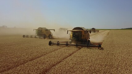 Harvester machine to harvest wheat field working. Combine harvester agriculture machine harvesting...