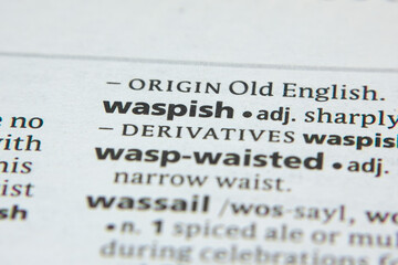 Word or phrase Waspish in a dictionary.