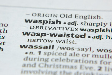 Word or phrase Wasp-Waisted in a dictionary.