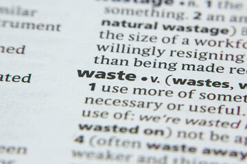 Word or phrase Waste in a dictionary.