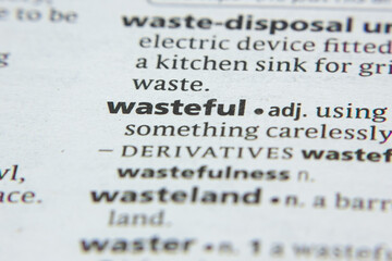 Word or phrase Wasteful in a dictionary.