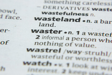 Word or phrase Waster in a dictionary.