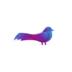 Elegant dove bird colorful logo design