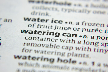 Word or phrase Watering Can in a dictionary.