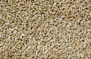 Peeled sunflower seeds. Close up, perfect for background.