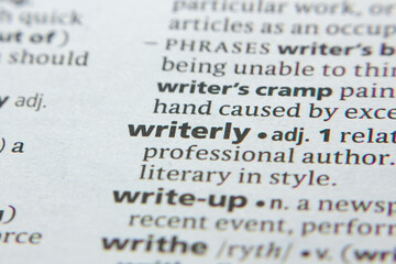 Word or phrase Writerly in a dictionary.