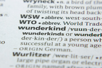 Word or phrase Wunderkind in a dictionary.